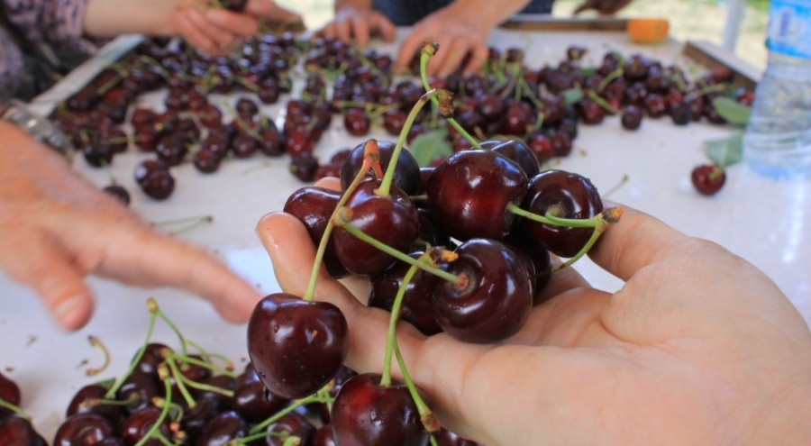 15 Aralık'ta okullarda "Coğrafi İşaret Günü" kutlanacak