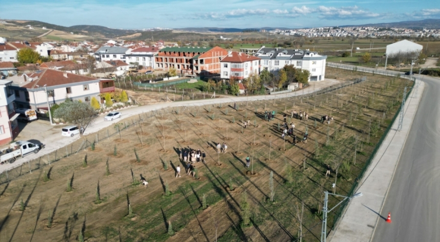 572 fidanlı koruluk Akhisan'a nefes olacak