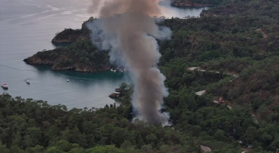 Muğla Fethiye'de kamp alanında yangın