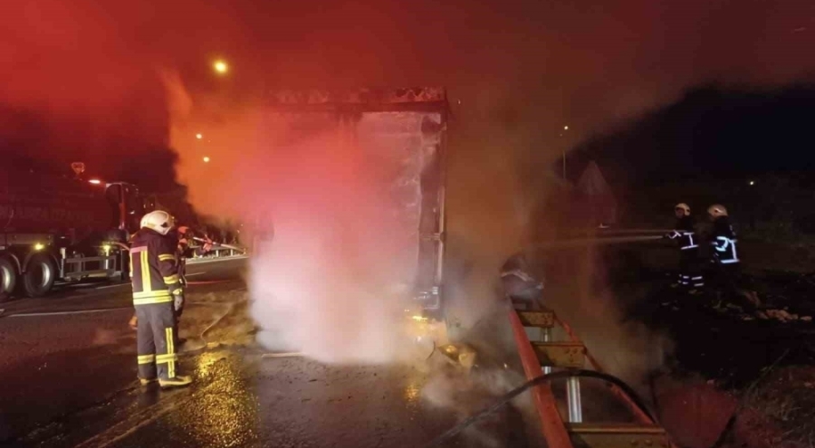 Şanlıurfa'da beyaz eşya yüklü tır alevlere teslim oldu