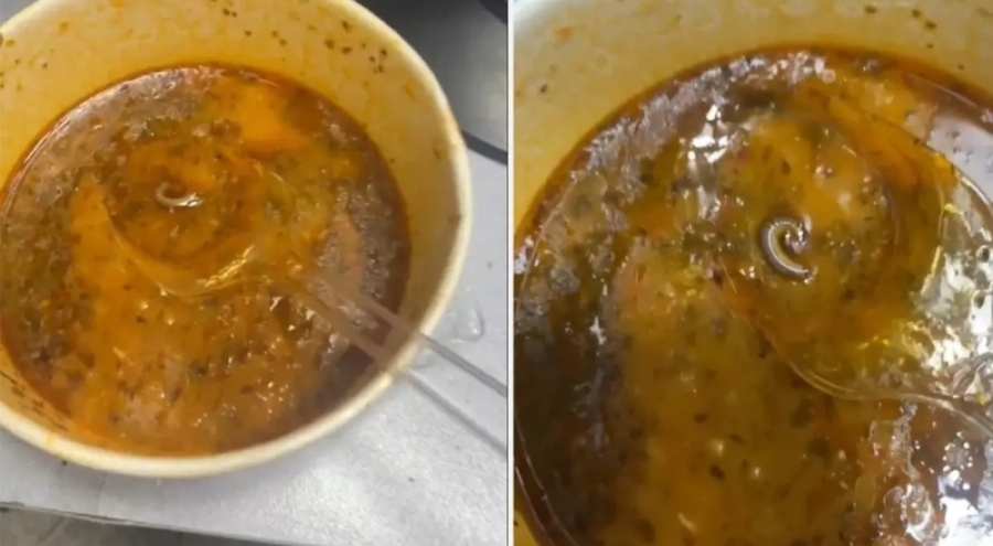 Bursa'da çorbanın içinden çıkanlar mide bulandırdı