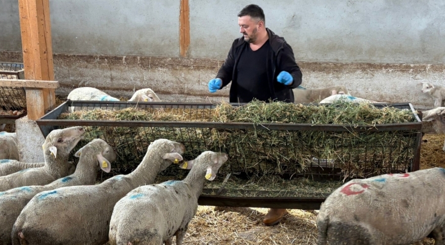 Bursa'da şap mağduru üreticiler destek bekliyor