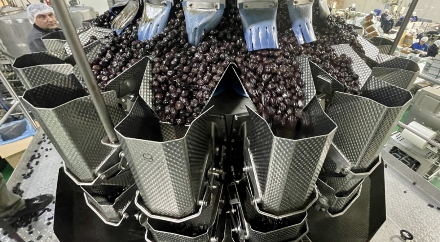 Marmarabirlik'ten zeytinyağı tüketimini "promosyon" ile artırma planı