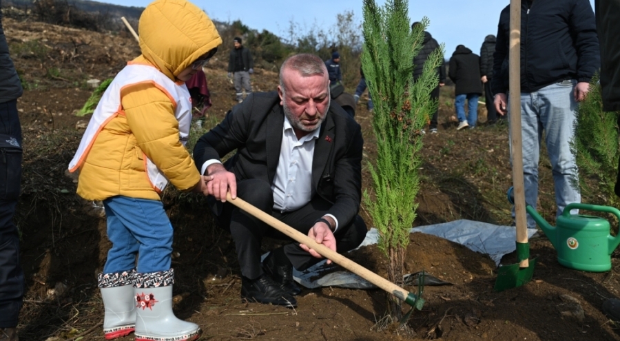 Bursa Karacabey'de yangın sonrası ilk fidanlar toprakla buluştu