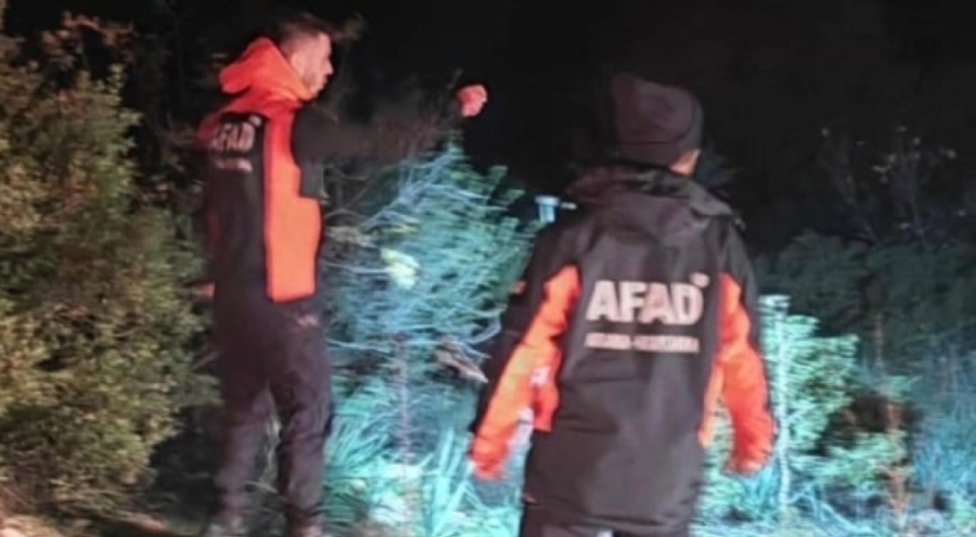 İzmir'de mantar toplamaya giden kişi kayboldu