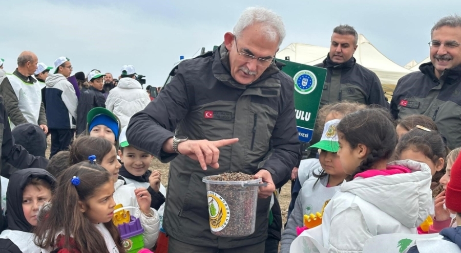 Harmancık'ta yanan 4 bin 256 hektar alan ağaçlandırılıyor