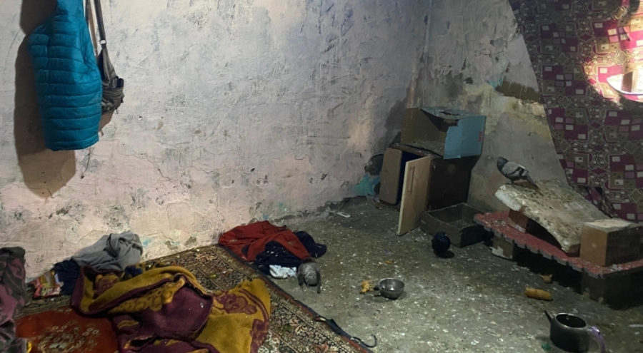 Kümeste yaşamaya zorlanan 3 kardeş kurtarıldı