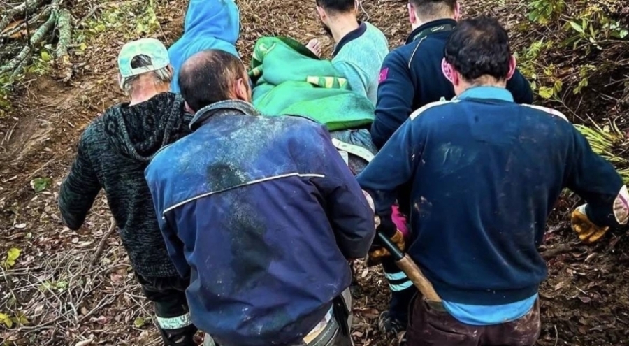 Orman işçisi kestiği tomruğun altında kalarak yaralandı!