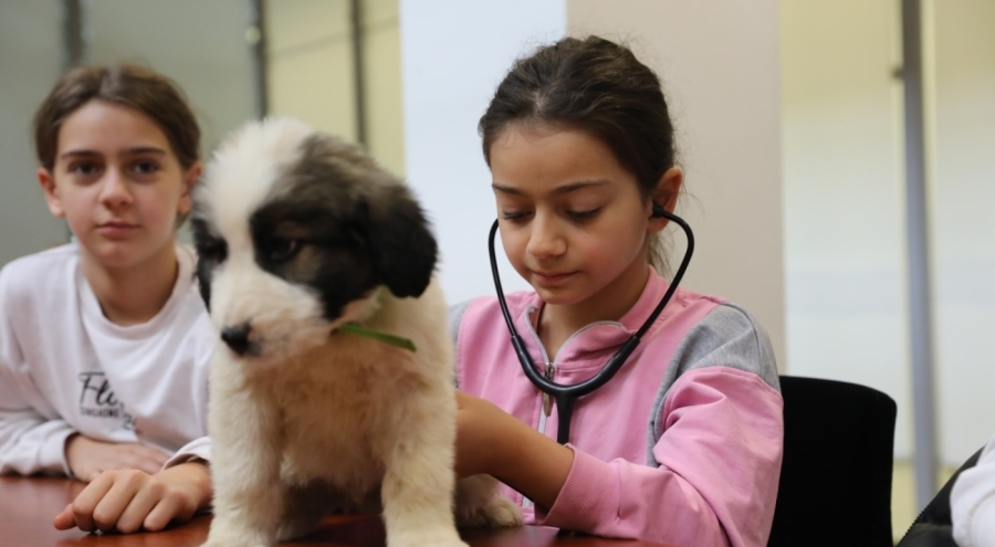 Bursa'da minik veterinerler can dostları için görev başında