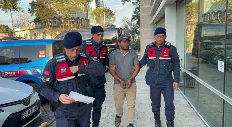 Ağaç kesimi esnasında komşusunun ölümüne sebep olan şahıs tutuklandı