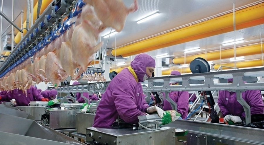 Son beş yılın üretim ve tüketim şampiyonu beyaz et