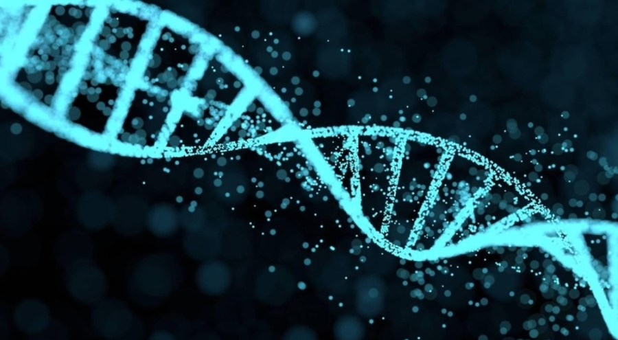 Erkek cinsiyetini belirleyen Y kromozomu yok oluyor