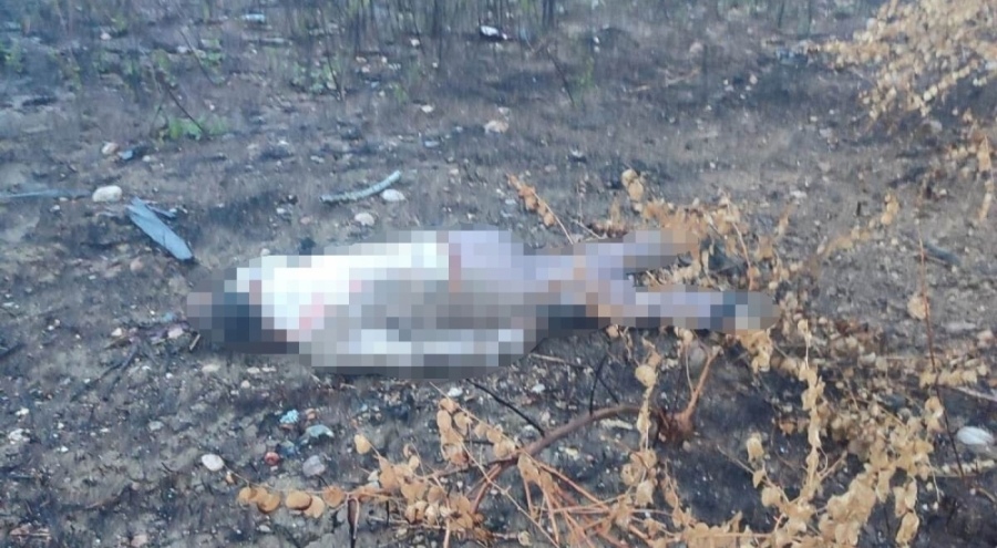 Kaza yapan araç otoyolda, sürücüsü 30 metrelik köprünün altında ölü bulundu