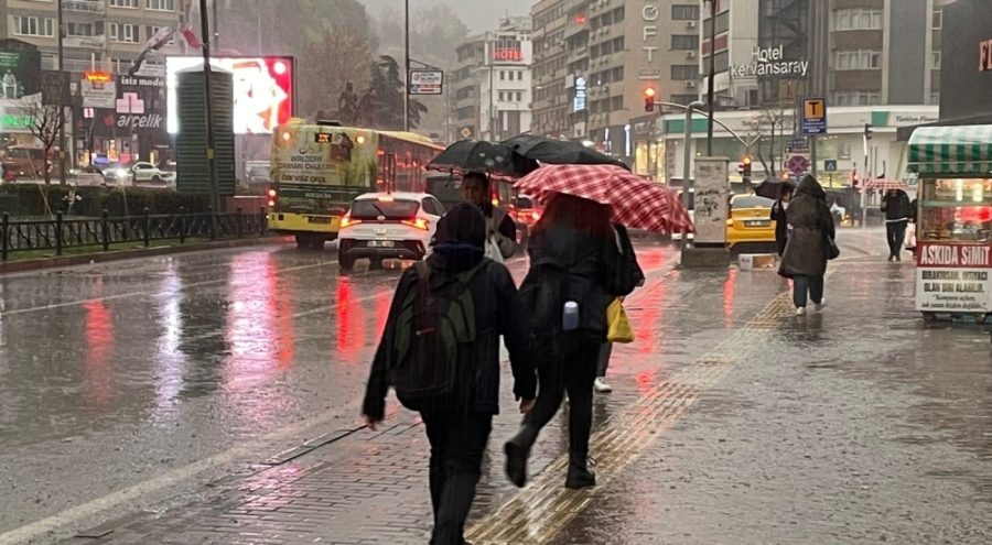 Yağışlar Bursalı çiftçilerin yüzünü güldürdü!