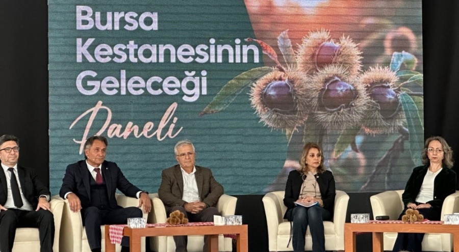 Bursa Büyükşehir Belediyesi'nden 'Kestanenin Geleceği Paneli'