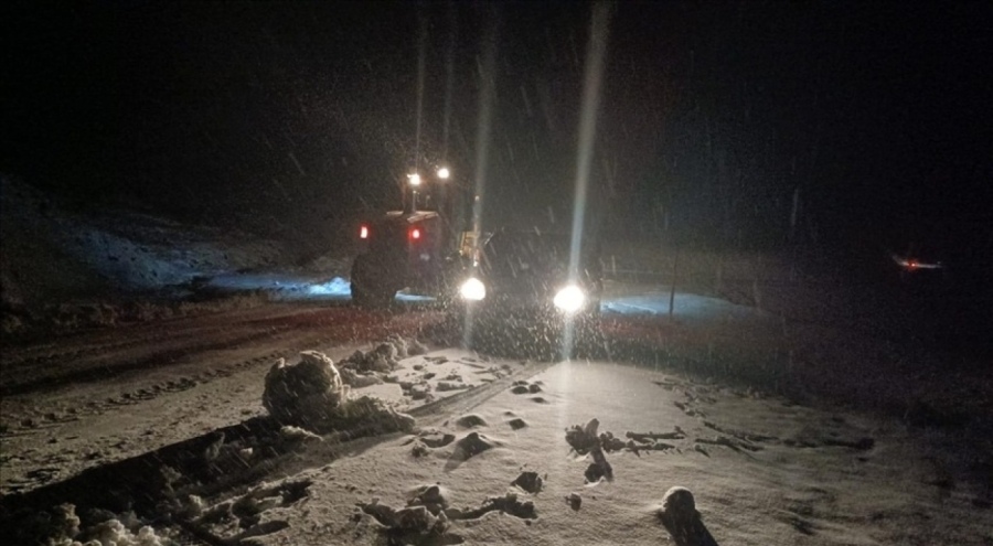 Muş ve Kars'ta etkili olan kar hayatı olumsuz etkiliyor