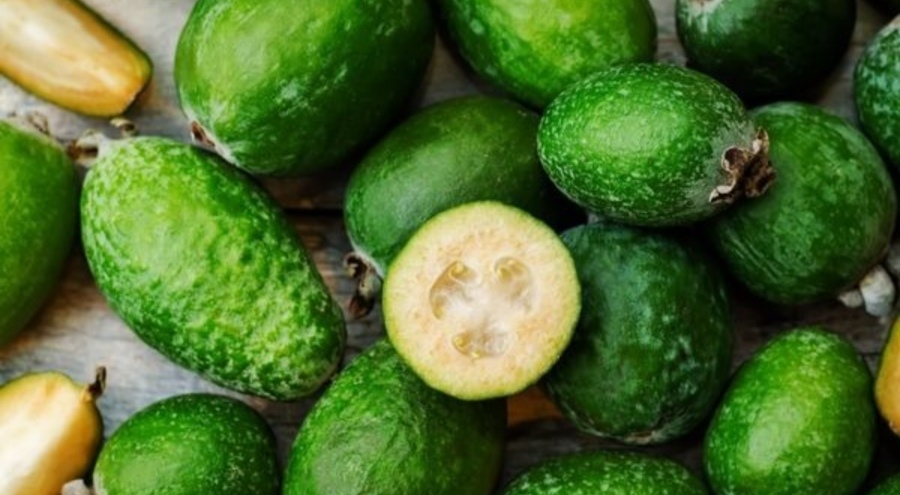 Feijoa meyvesi nedir? Feijoa Türkiye'de üretiliyor mu?