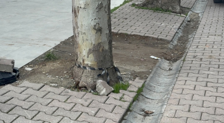 Çöpe atmak için yerden aldığı poşetinin içinden servet çıktı