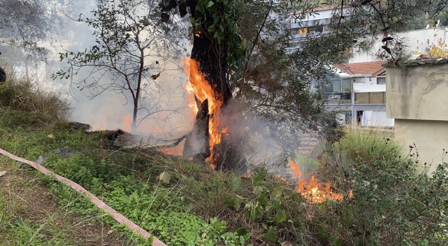 Bursa'da çıkan yangın büyümeden söndürüldü