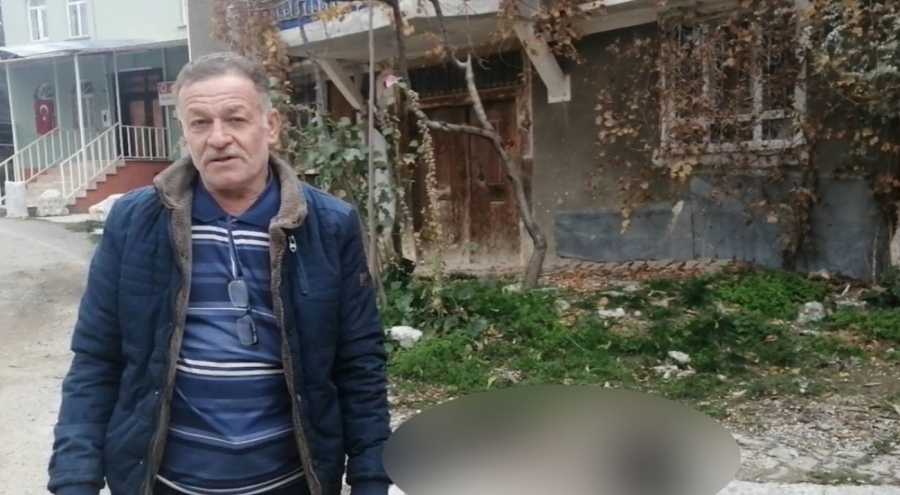 Art arda yaşanan köpek ölümlerine valilikten inceleme kararı