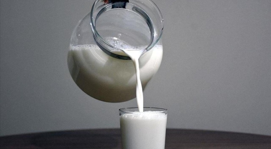 Ekimde toplanan inek sütü miktarı 895 bin 834 ton oldu