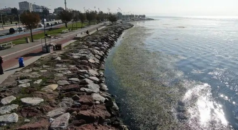 İzmir Körfezi alarm veriyor