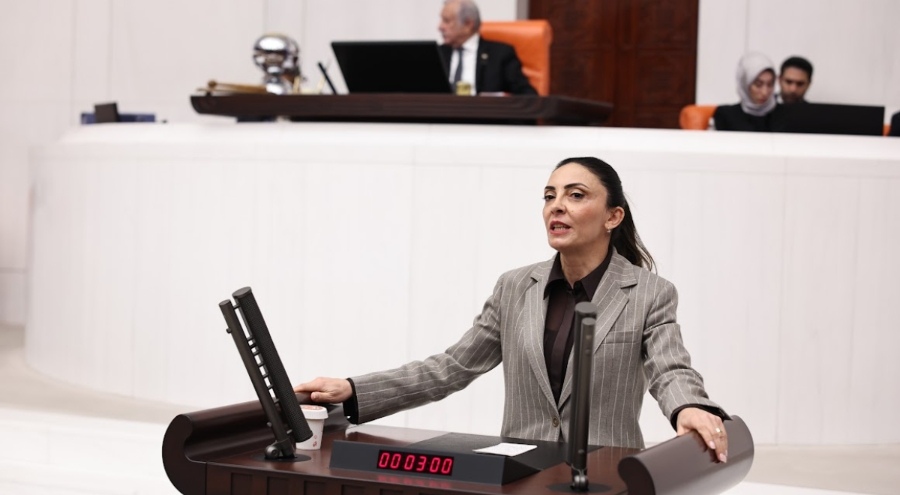 Bursa Milletvekili Altaca Kayışoğlu: Özgür sanat olmadan demokrasi olmaz