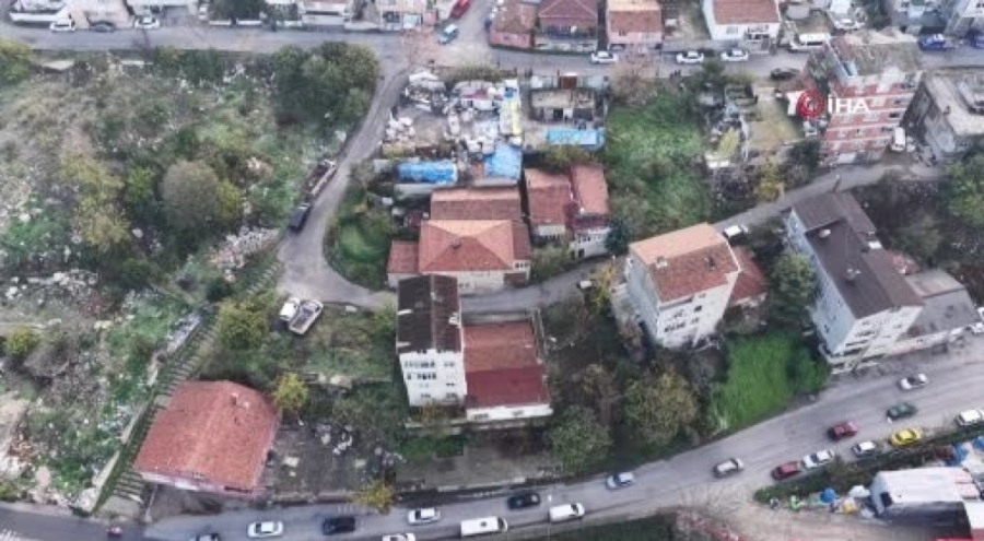 İstanbul'da kaçak at kesimi ortaya çıktı: 2 gözaltı