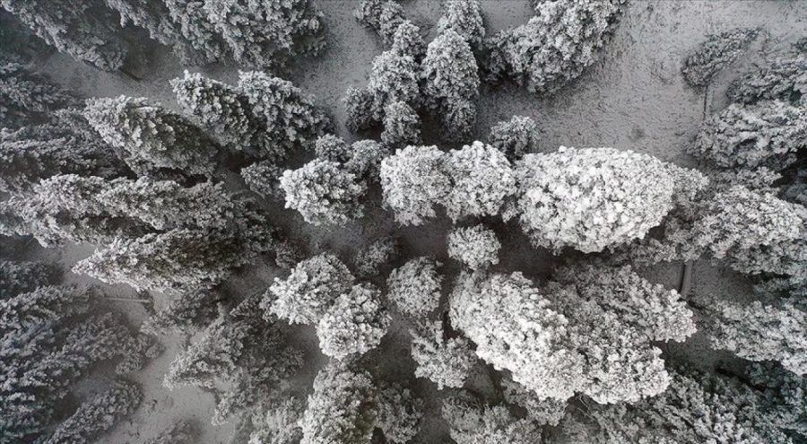 Ilgaz Dağı'nda ormanlar beyaz örtüyle kaplandı