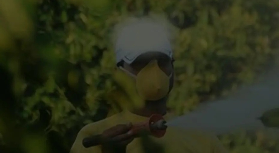 Böcek ilaçlarının satışında yeni düzenleme