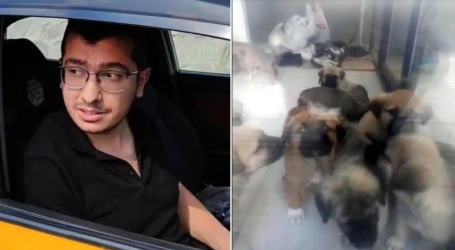 Köpekleri evinde katledip istismar eden doktora verilen cezanın gerekçesi açıklandı