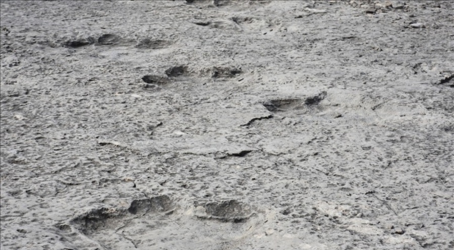 İtalya'da 200 milyon yıllık binlerce dinozor ayak izi bulundu