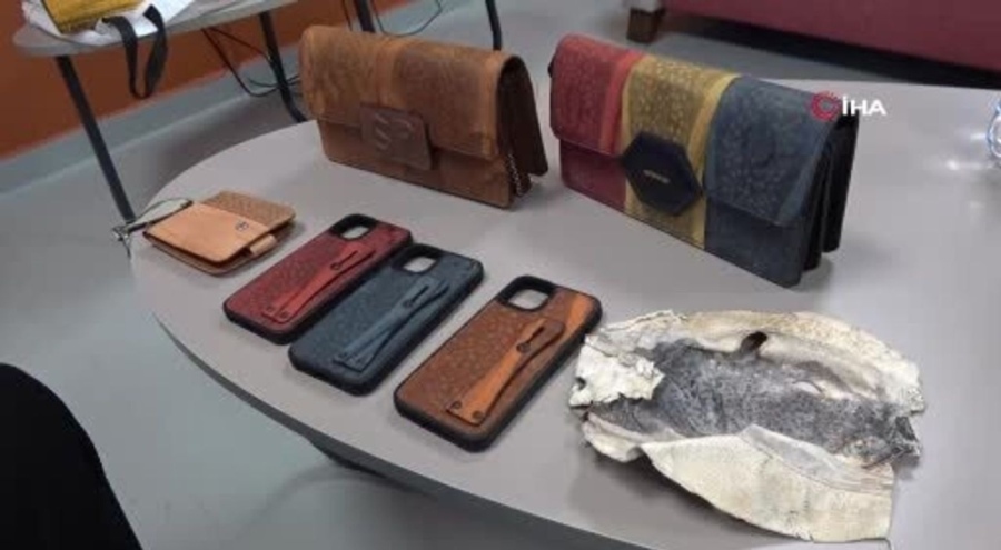 Balon balığı derisini böyle değerlendirdi: Aksesuarlar mahkemelik oldu!