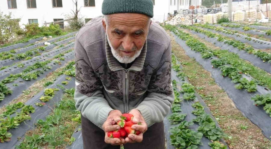 "Hayır Bahçesi" ile tanınan İbrahim Çakmakçı hayatını kaybetti