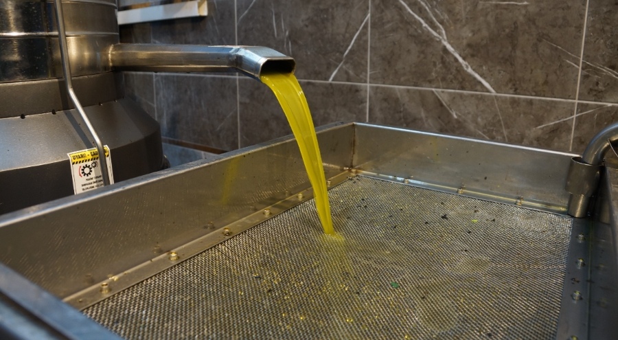 Son bir ayda yüzde 35 zam! Zeytinyağı fiyatları arttı