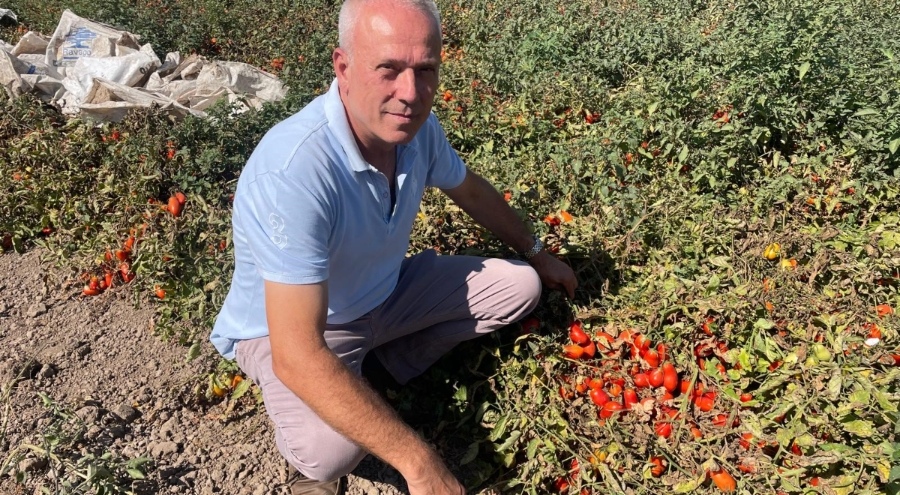 Bursa'da ilginç isim hikâyesi! Doğduğu gün seçim kazanıldı, adı "Seçim" oldu