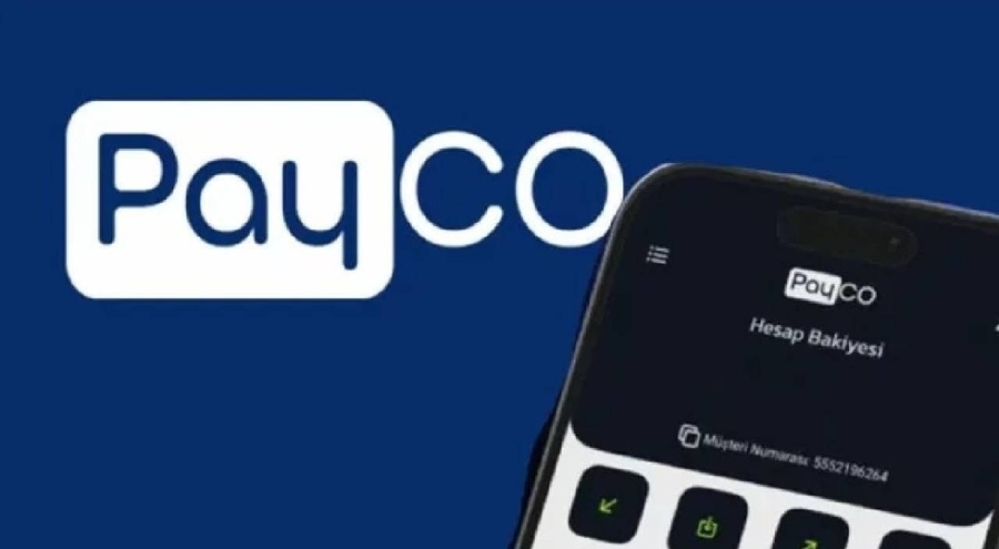 Payco Elektronik Para ve Ödeme Hizmetleri'ne ikinci dalga operasyon