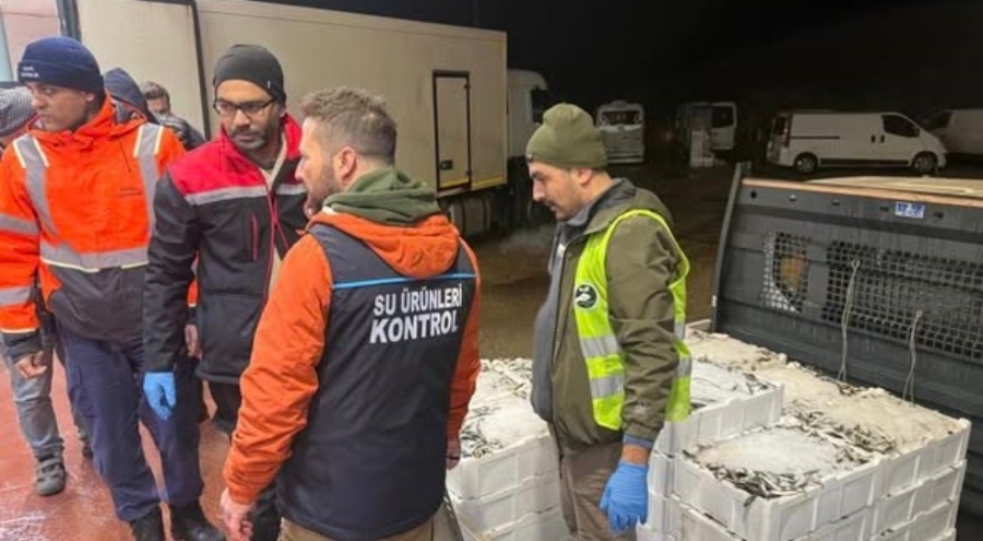 Bursa'da balık haline şafak operasyonu: 615 kilo istavrite el konuldu