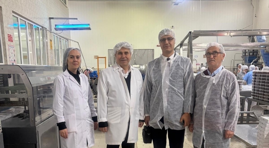 Bursa'da kestanenin geleceği ele alındı