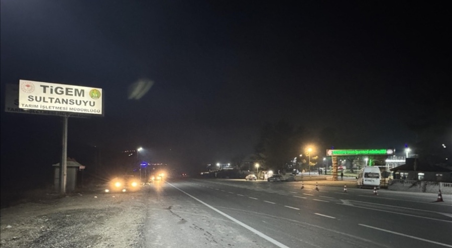 Aracın çarptığı 6 safkan Arap tayı telef oldu