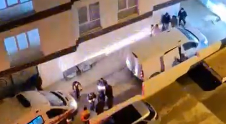 Bursa'da polis 3 kişiye saldıran köpeği vurarak öldürdü