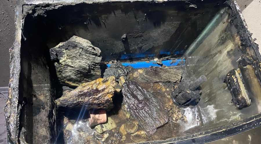 Bursa'da akvaryumdan kaynaklı çıkan yangın panik yarattı