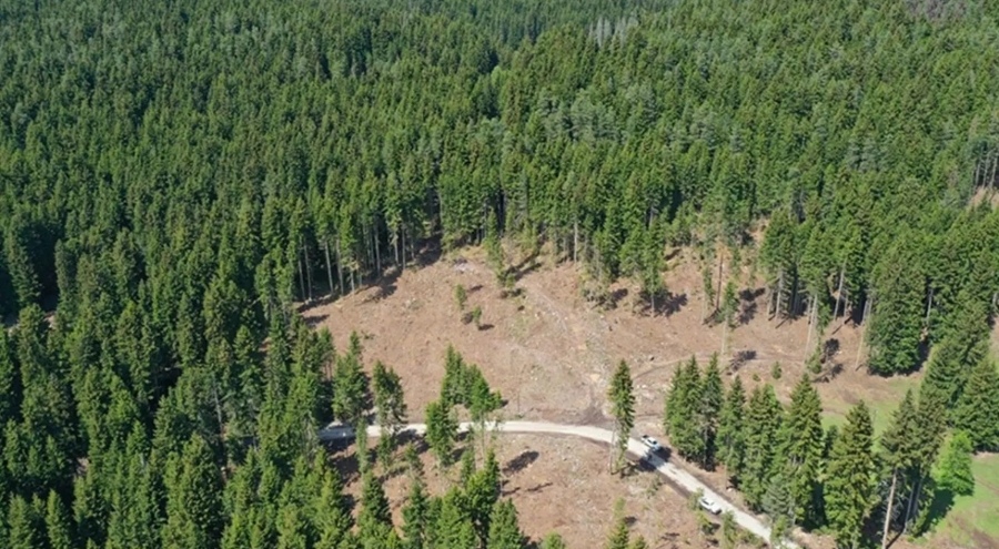 Resmi Gazete'de yayımlanan karara Rızvanoğlu'dan tepki: '1 milyon 651 bin metrekare orman alanımı...