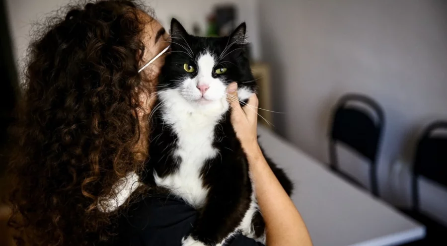 Evcil hayvan sahiplerine uyarı: Son gün 31 Aralık