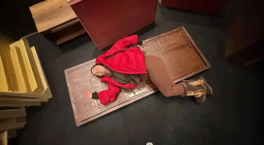 Sahnede korkutan anlar: Ünlü sanatçının kafasına kapı düştü!