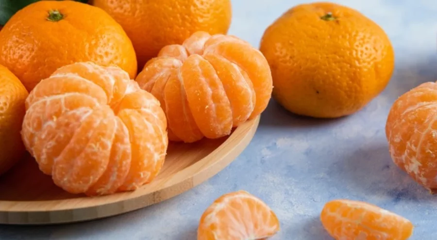 Türkiye'nin mandalina ihracatı rekor kırdı