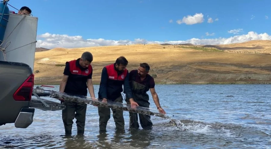 Bakan Yumaklı duyurdu: Türkiye nüfusu kadar balık deniz ve göllere bırakıldı