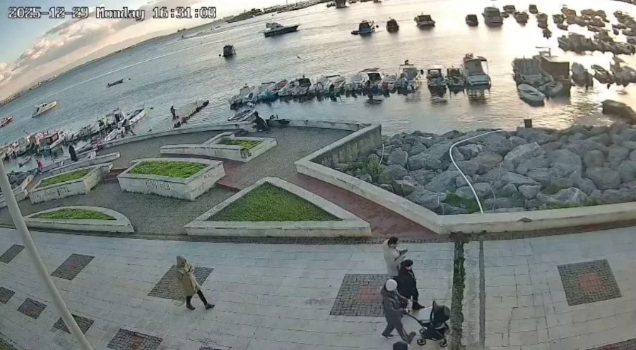 Pendik'te vicdanları sızlatan olay: Kediye tekme atıp denize fırlattı