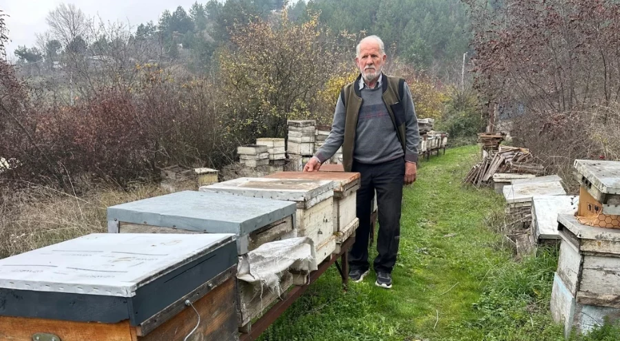 Bilinçsiz ilaçlama Bursa'da arıcılığı bitirme noktasına getirdi