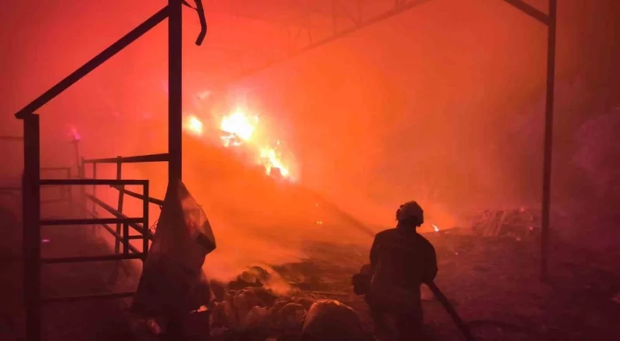 Hatay'da samanlık yangını: 100 büyükbaş hayvan son anda kurtarıldı